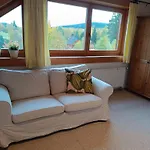 Srub - Sumava Javorná