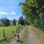 Srub - Sumava *