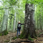 Srub - Sumava Lägenhet