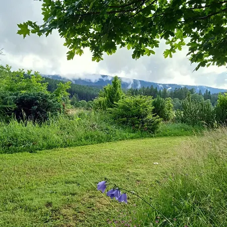 Apartamento Srub - šumava *