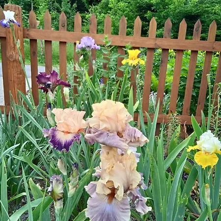 Apartamento Srub - šumava