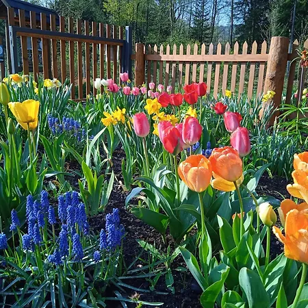 Apartamento Srub - šumava *