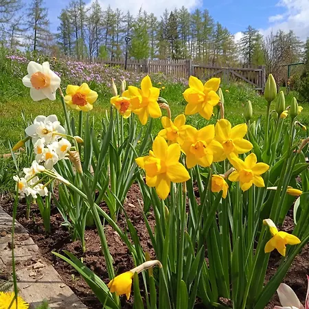 Srub - Sumava *