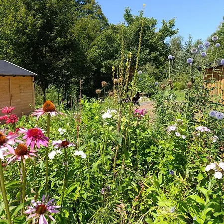 Apartamento Srub - šumava