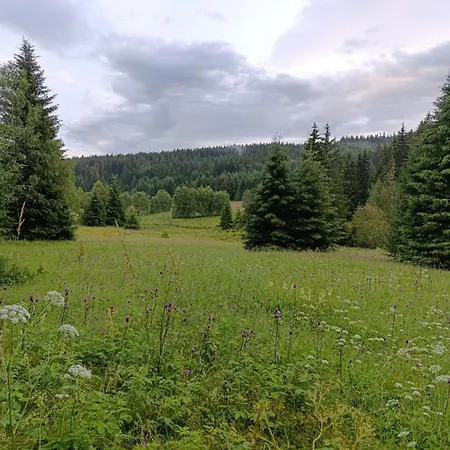 Srub - Sumava アパート *