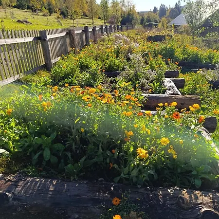 Apartamento Srub - šumava Javorná