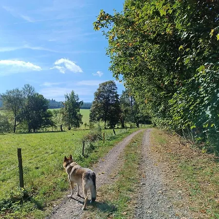 Srub - Sumava *