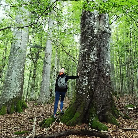 Srub - šumava Apartamento