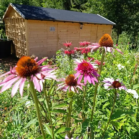 Apartamento Srub - šumava