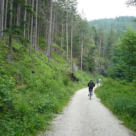 Apartamento Srub - šumava
