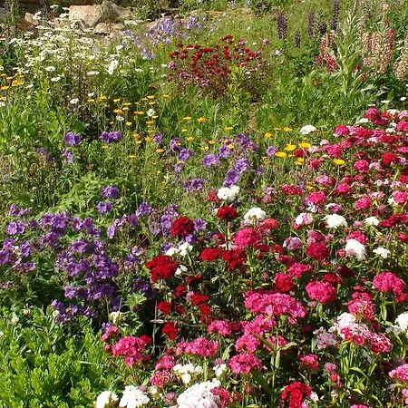 Srub - šumava Apartamento Javorná