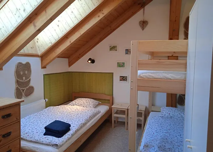 Srub - Sumava * Javorná