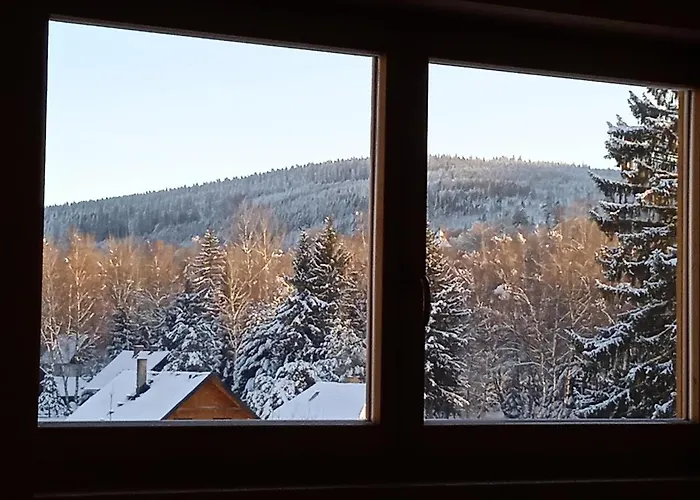 Srub - Sumava Apartament