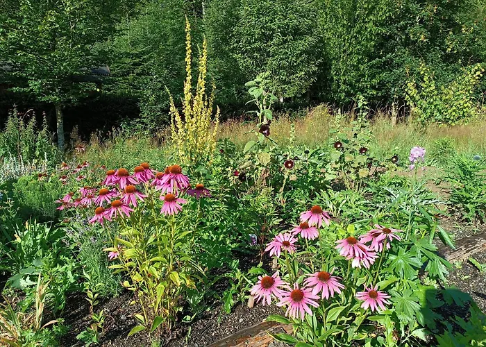 Srub - Sumava Lejlighed *