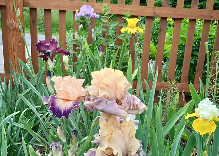 Lejlighed Srub - Sumava