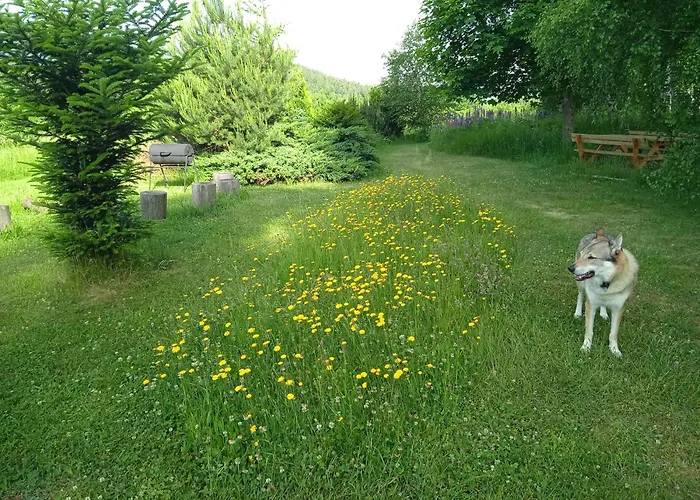 Srub - Sumava Lejlighed