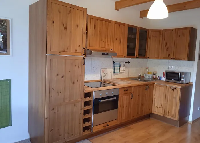 Srub - Sumava Apartament