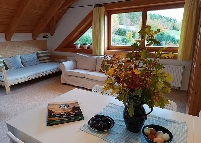Srub - Sumava Apartament *