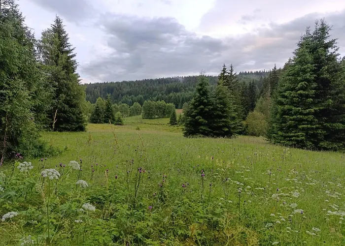 Srub - Sumava Lejlighed *