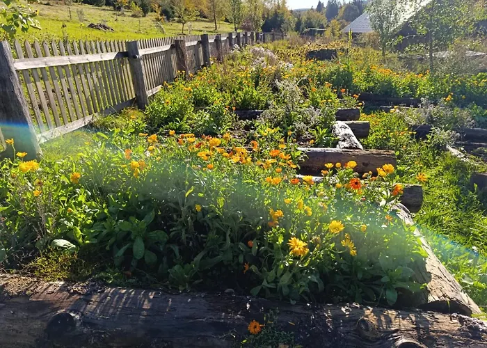 Lejlighed Srub - Sumava Javorná