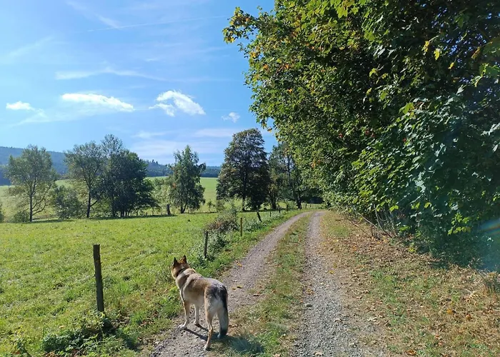 Srub - Sumava *