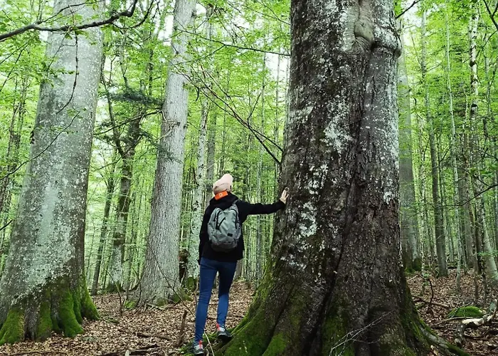 Srub - Sumava Lejlighed