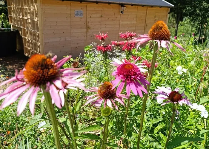 Lejlighed Srub - Sumava