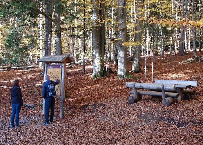 Srub - Sumava Apartament *