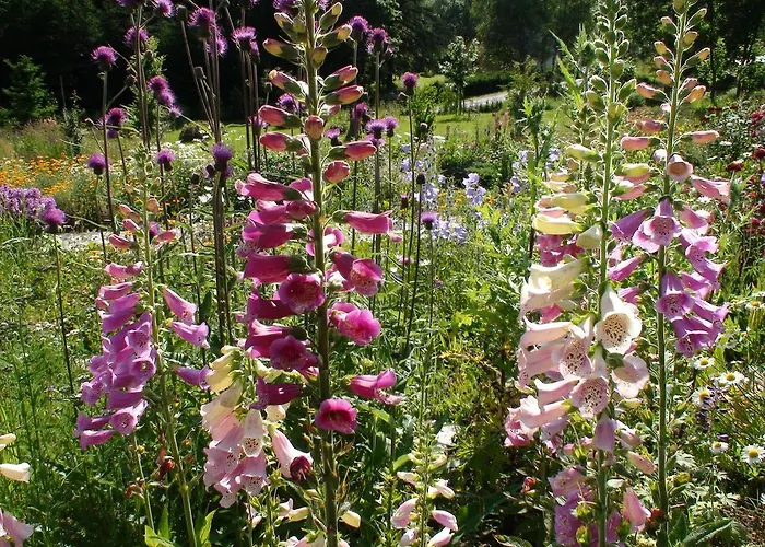 Lejlighed Srub - Sumava *